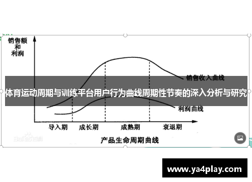 体育运动周期与训练平台用户行为曲线周期性节奏的深入分析与研究